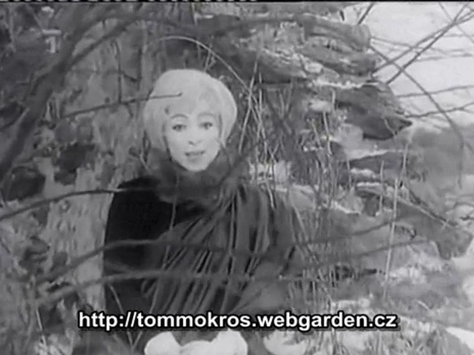 Hana Hegerová / Blázen a dítě