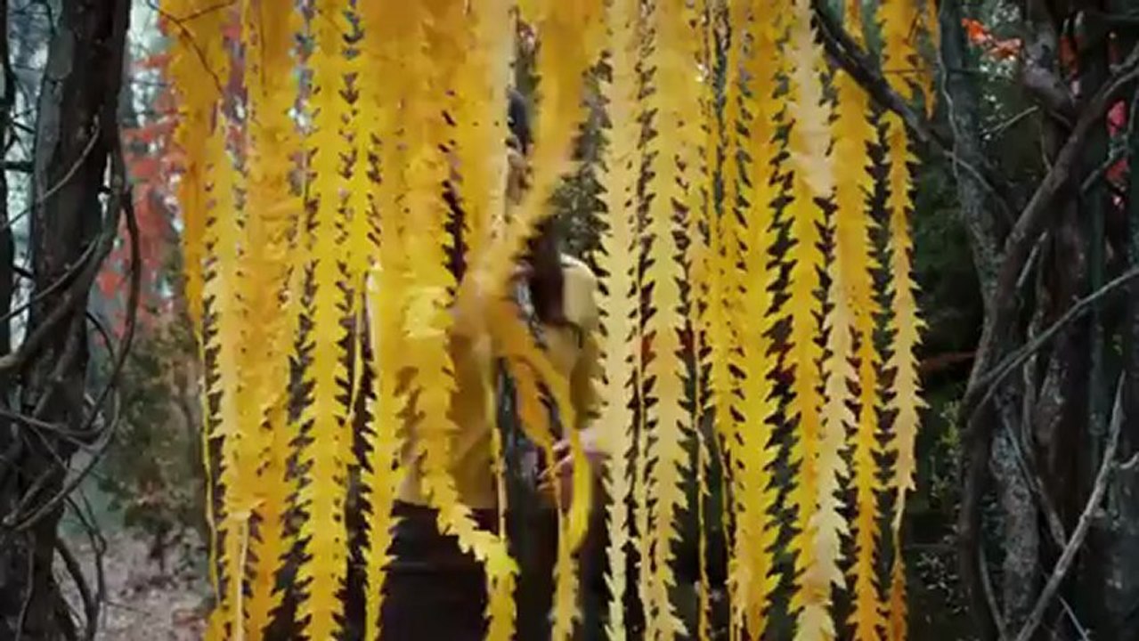 The Odd Life of Timothy Green - Timothy Green´in Sıradışı Yaşamı Vizyonda