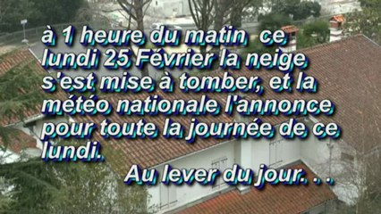 " M. W-D.D. " - 23-25 / 02 / 2013 -  BULLETIN METEO DE MICHOU  - PAU - SOUBRESAUT HIVERNAL - 25 FEVRIER 2013.