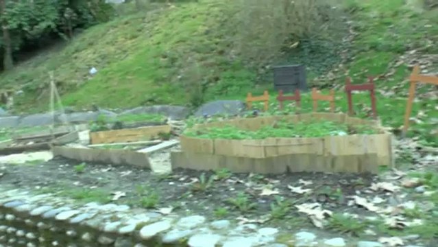 Les W-D². MICHOU-PRODUCTIONS - présentent : LES PROMENADES DE MICHOU - SUR LE COURS DU HEDAS - 19 FEVRIER 2013.