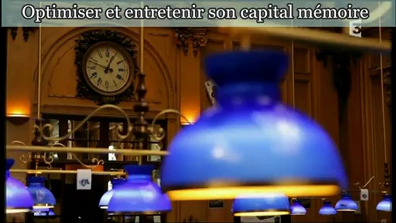 Optimiser et Entretenir son Capital Mémoire