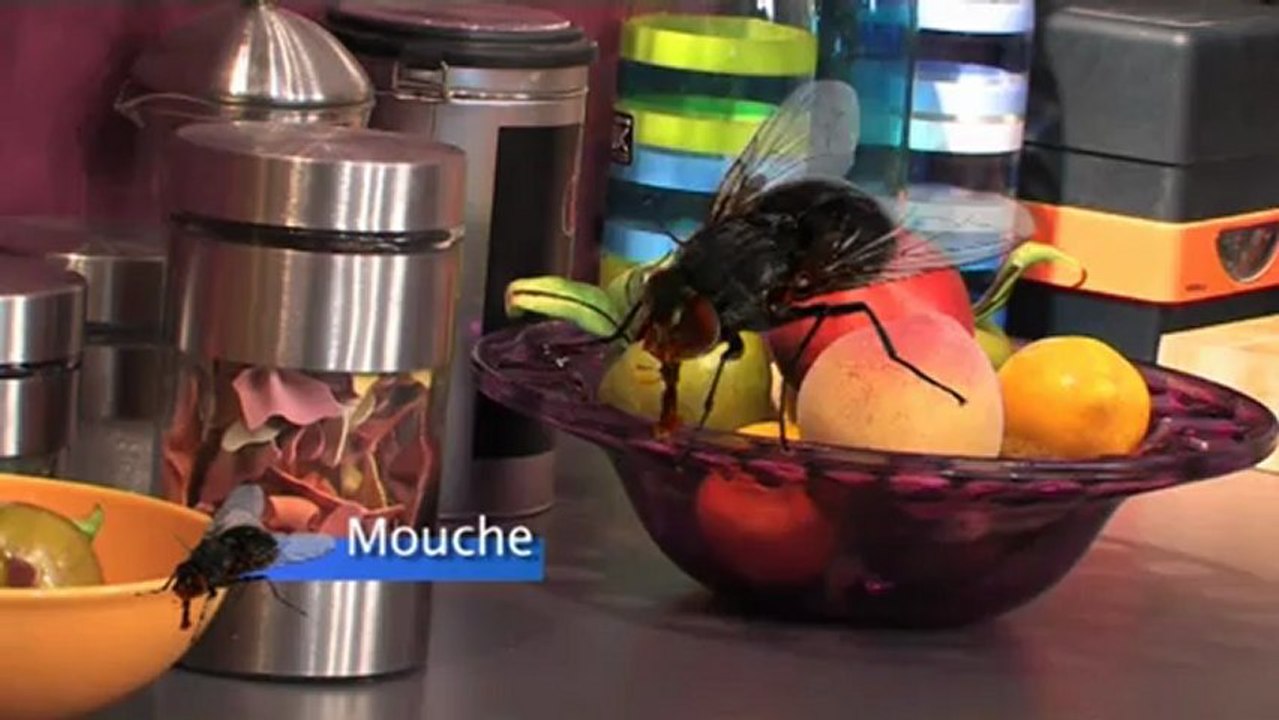 Prise anti insectes anti nuisibles