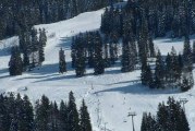 Hiver : ski de fond / ski alpin
