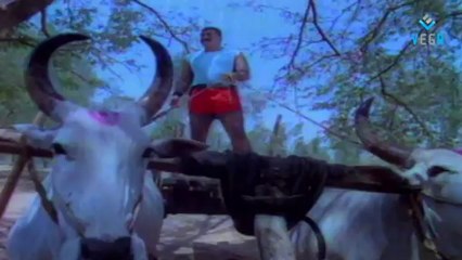 PANDI NATTU THANGAM  Part   03