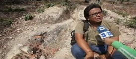 Encuentran restos de árboles en un bosque petrificado de El Salvador