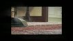 NY Carpet Cleaning, Oriental Rug Cleaning Service in New York