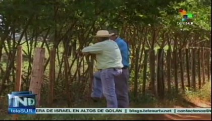 Asesinaron a otro líder campesino en Paraguay