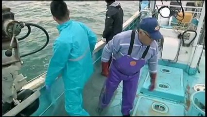 Greenpeace descalifica el informe de la OMS sobre Fukushima