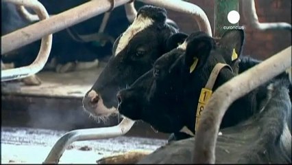 Nuevo escándalo alimentario tras detectarse en Alemania...