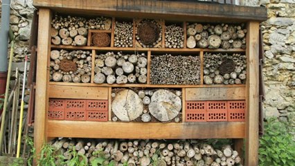 Jardin sauvage, nichoirs et hôtels à insectes