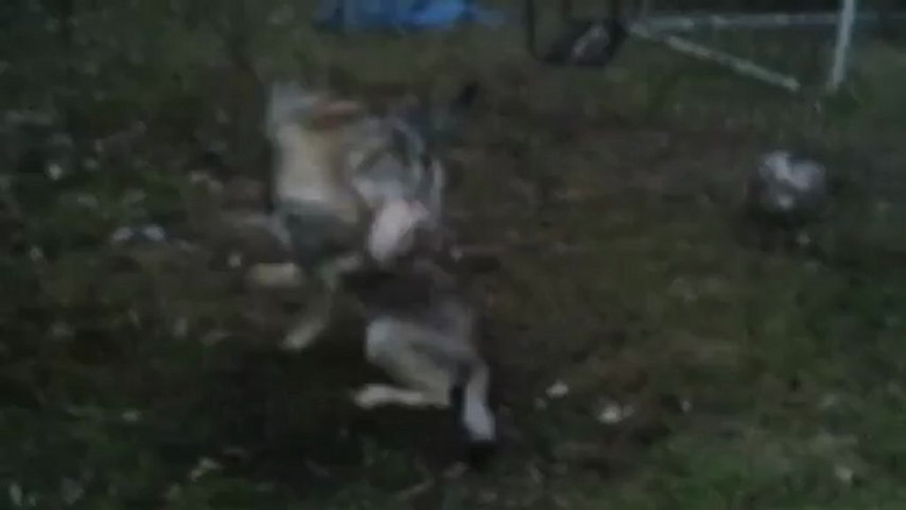 Hayden & Honiahaka 5mois