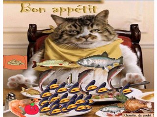 Bon appétit..mais pas touche à mon repas