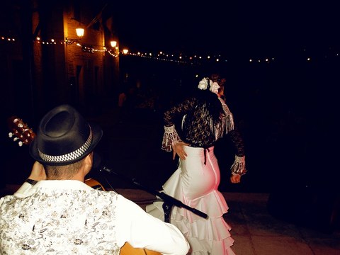 Animation de soirée | Groupe de musique [ flamenco rumba ] -