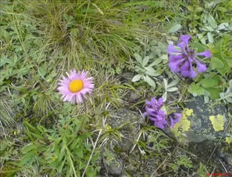 Erkan Yeşilyurt Mektup Yazarım Seslibumekan