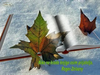 Dobra knjiga je najbolji prijatelj