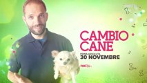 Guarda il primo episodio di Cambio Cane su FoxLife.it