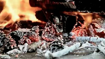 “Operation Paul Revere InfoWars.com Contest” Spectacular Solar System HD