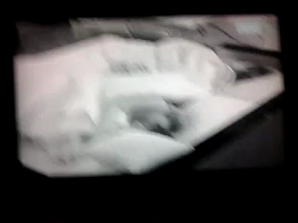 Fê e Dé líder 29/02 parte- 04