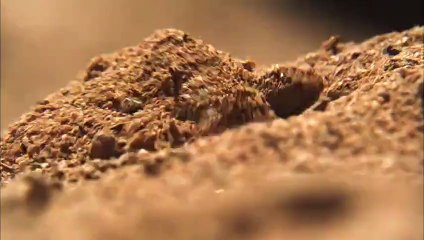 D.Channel | Hayatın Hızı: Doğu Afrika'nın Avcıları