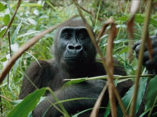 temel - temel uzayda