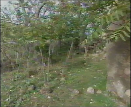 Rough Science S01E02 - Simmering Shutterbugs