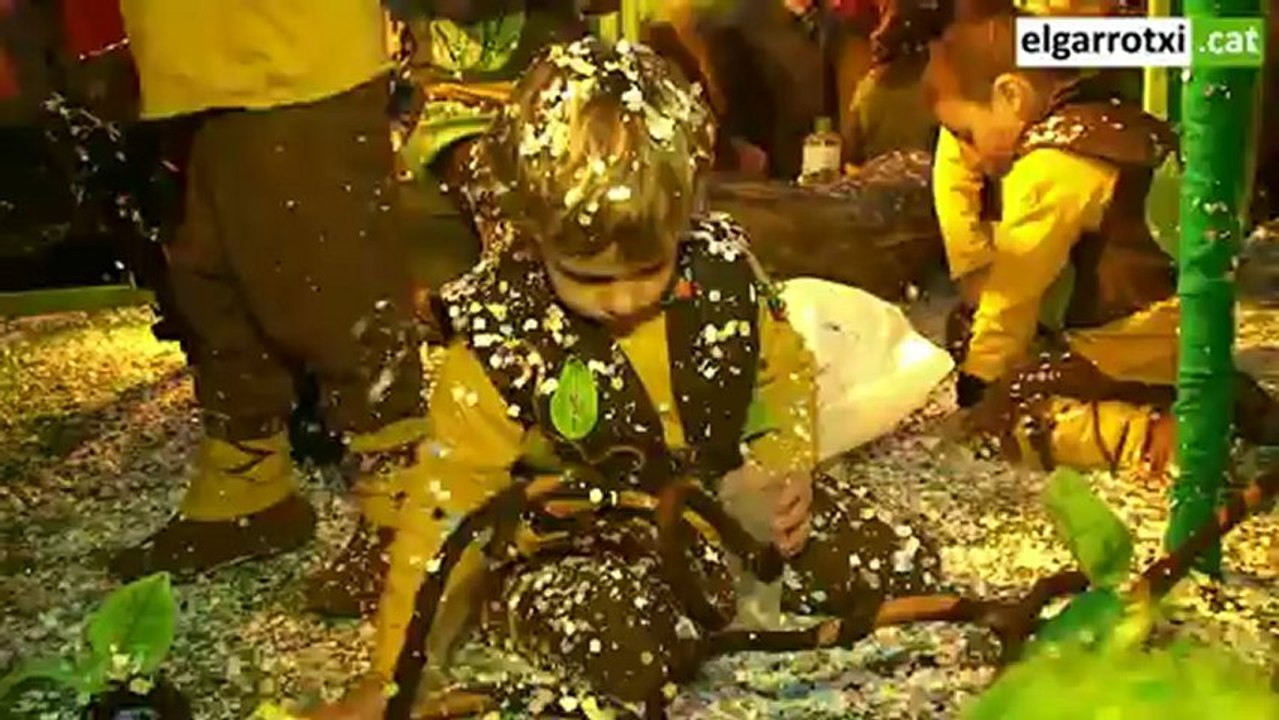 Carnaval d'Olot 2013