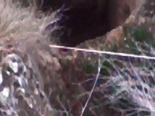 video-2013-02-28-14-43-37