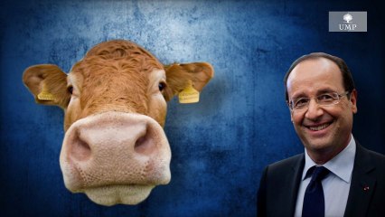 Cette Semaine En Normalie #1 - 10 mois, 4 échecs, 1 responsable : François Hollande