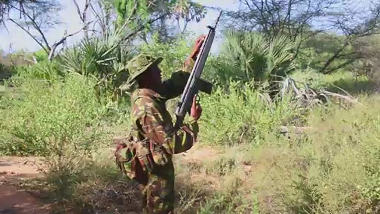 Ex-Wilderer als Elefantenschützer in Kenia