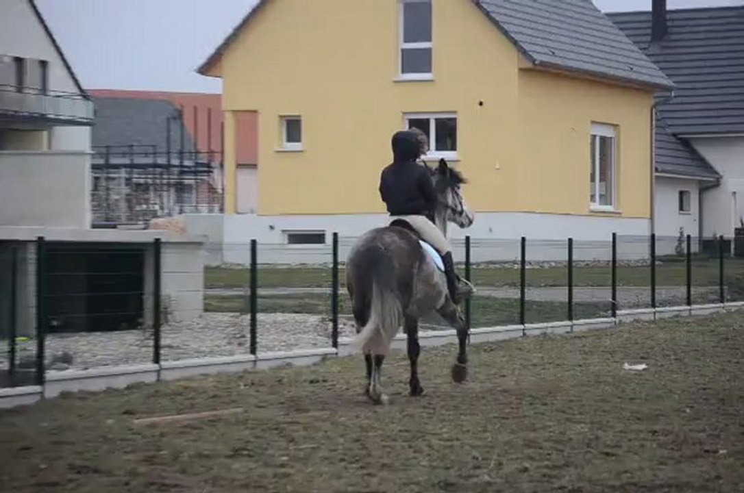 01.03.13  toute seule