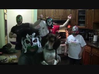 Harlem Shake enmascarados.