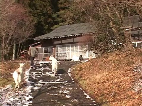 20130301 8000ベクレル超廃棄物の焼却をめぐる攻防～鮫川村実験炉問題 OurPlanetTV