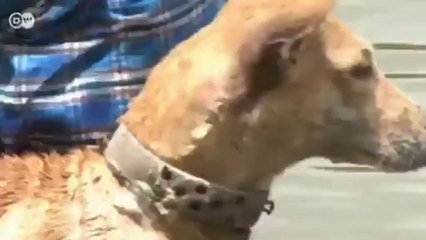 World Stories: International Reporters | World Stories