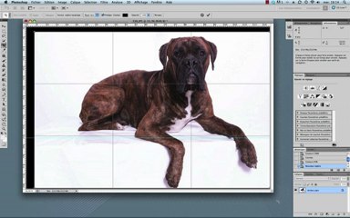 Comment corriger la balance des blancs