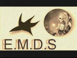 ABSOLUTE & ABSOLUTELY