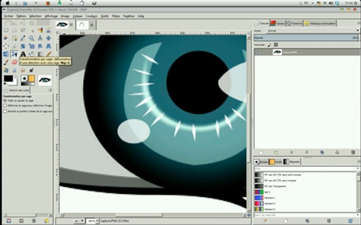 Formation GIMP  transformation par cage