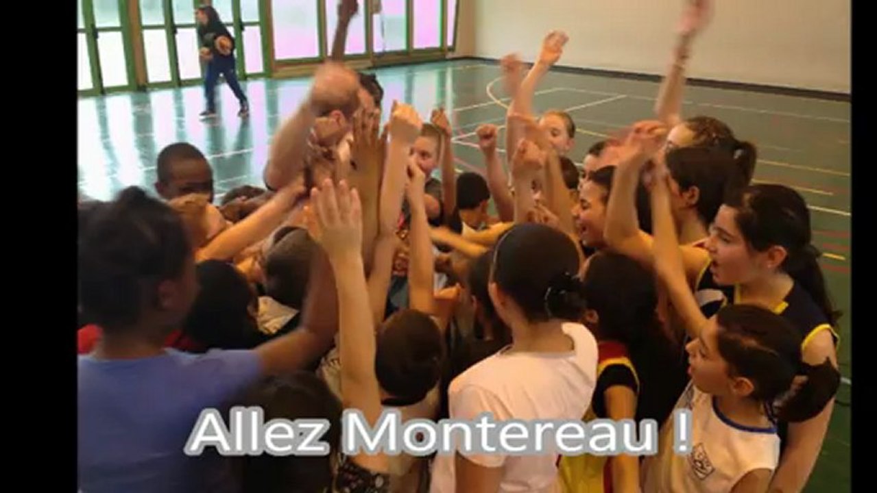 Plateau basket pour Robin