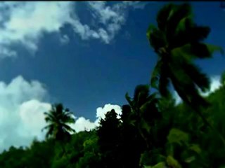 Kur-an-ı Kerim Türkçe Meali 101karia Süresi