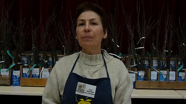 Les croqueurs de pommes: de sérieux amateurs de variétés anciennes