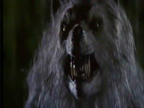 The Werewolf movies Films loups garou-compilation - YouTube
