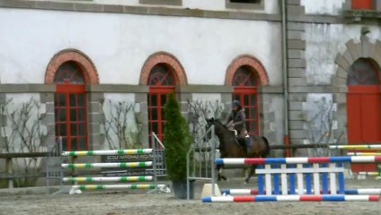 JESS ET TULIPE - 2 Mars 2013 - Lamballe