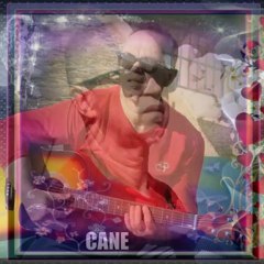 CANE NIKOLOVSKI - ISKRENA LJUBOV