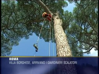 Villa Borghese, arrivano i "giardinieri scalatori"