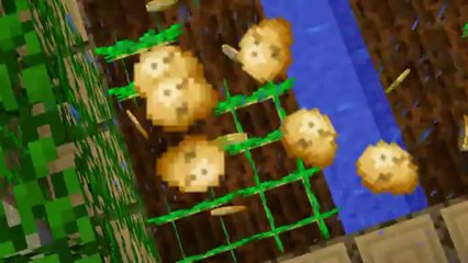 Si t'es une petite patate (minecraft/humour)
