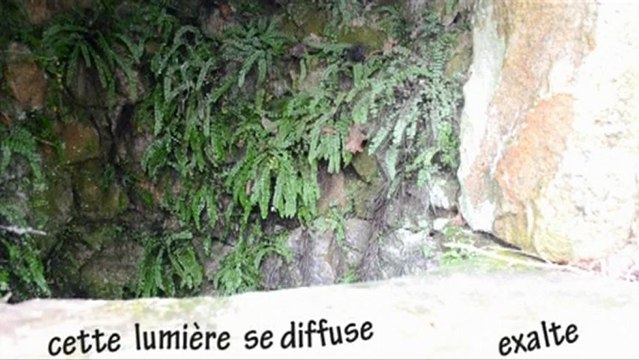 bAM - Poussières d'étoiles (lyrics video)