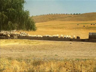 ANKARALI TURGUT KESIK CAYIR (ANKARADAN KACARLIYA YOLCULUK)