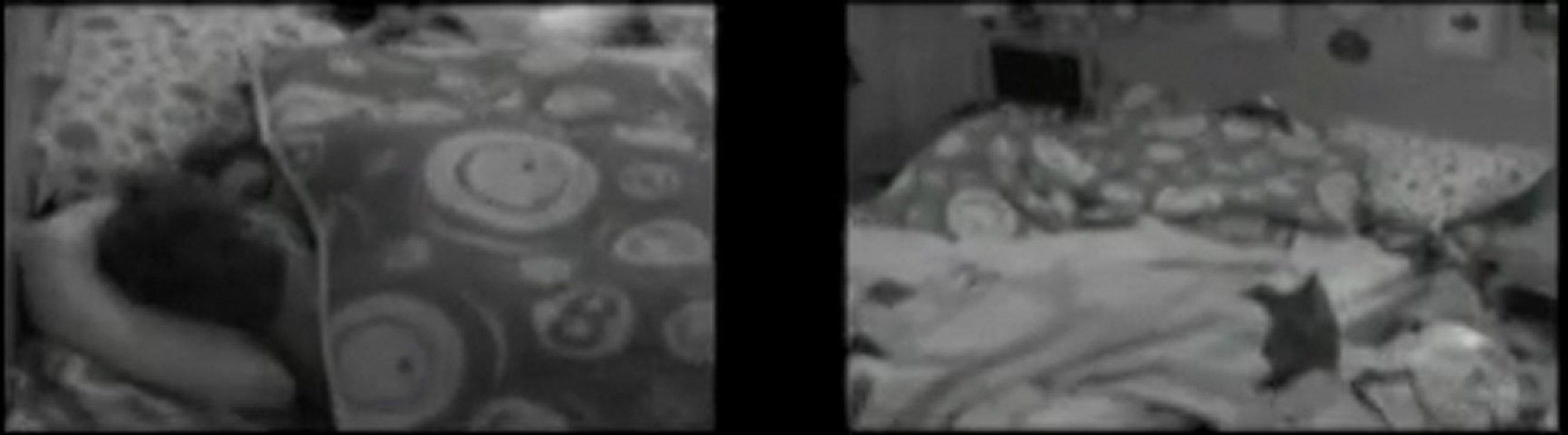 "Eu tenho vontade de rir de ti toda hora" 18/02 noite