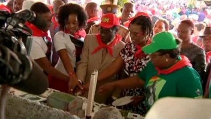 Zimbabwe's Mugabe celebrates 89th birthday