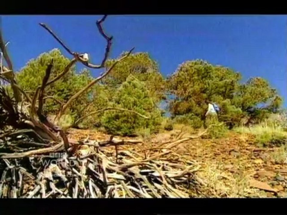 Rough Science S04E04 - Impact