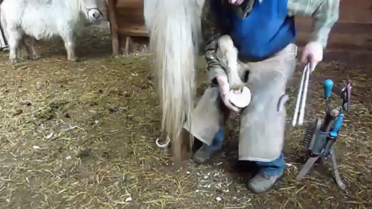 Le maréchal ferrant à la moutonnerie des Balnettes